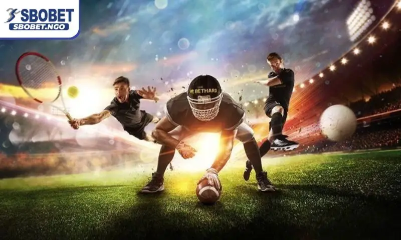 Những điểm cộng khiến thể thao ảo SBOBET được yêu thích Những điểm cộng khiến thể thao ảo SBOBET được yêu thích